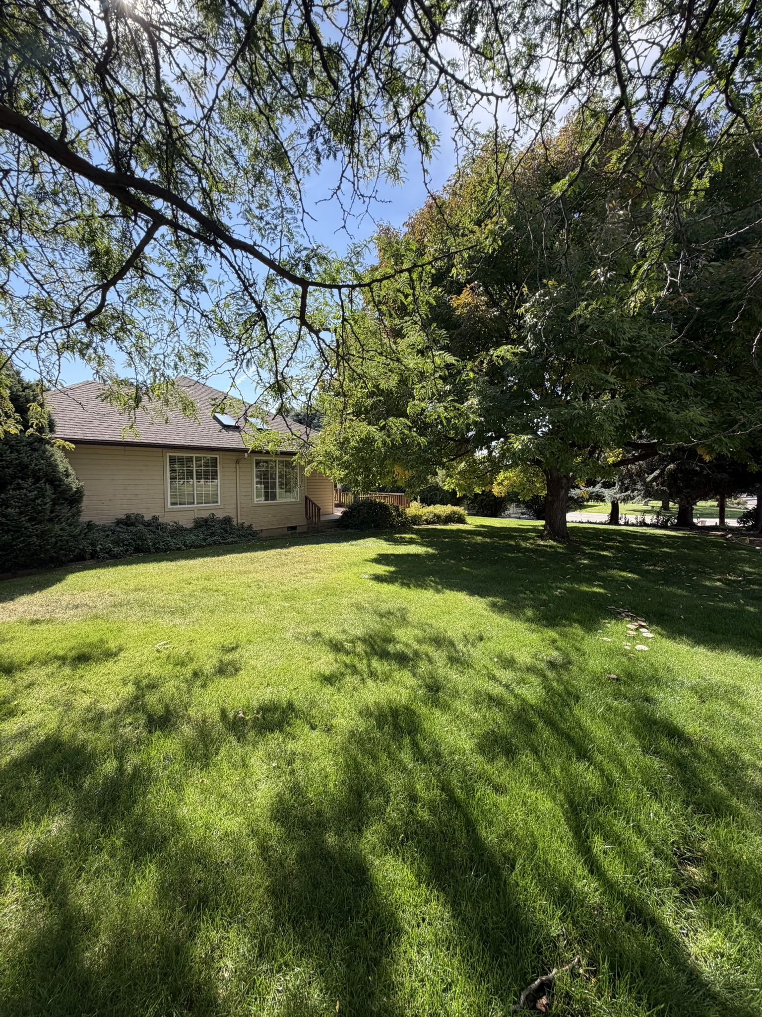 1865 Fairview St - Image 37